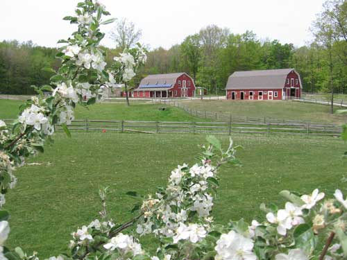Dal sito della Hershey Farm School
