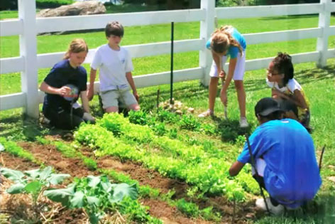 dal sito della Montessori School  Emerson Farm Middle Lutherville (Maryland)